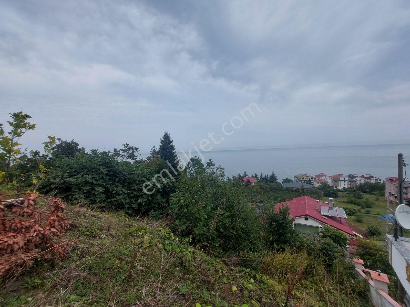 Mabel'den Akçaabat Mersin De Satılık Arsa — fotoğraf 6