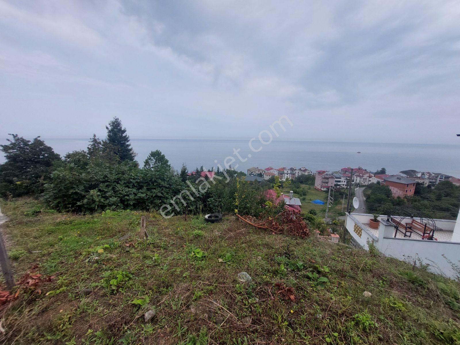 Mabel'den Akçaabat Mersin De Satılık Arsa — fotoğraf 7