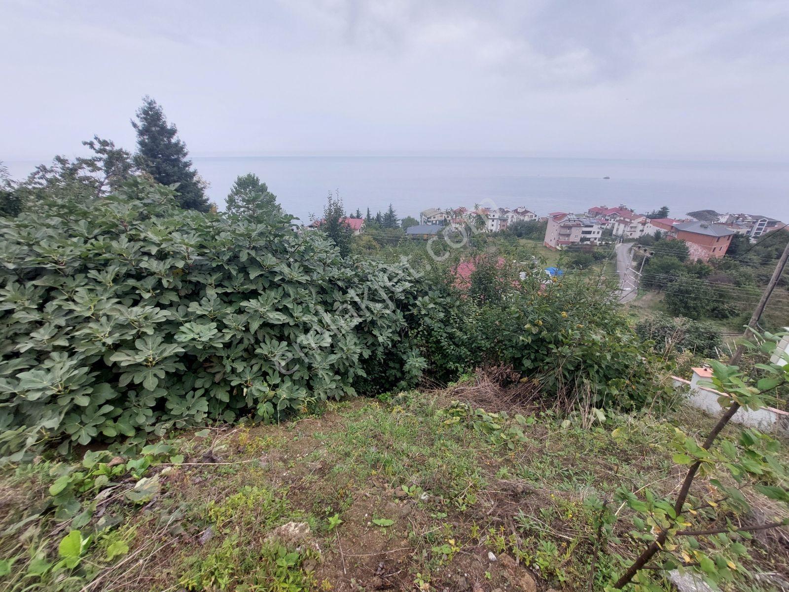 Mabel'den Akçaabat Mersin De Satılık Arsa — fotoğraf 9