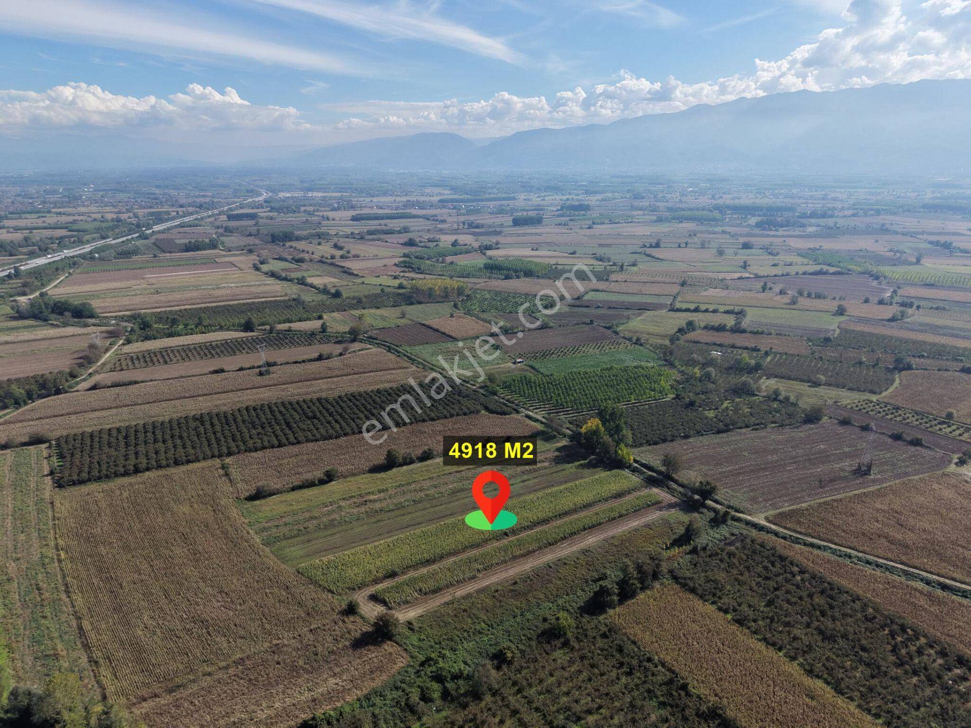 Köprübaşıömerefendi Köyü'nde 4918 M2 Satılık Arazi — fotoğraf 6