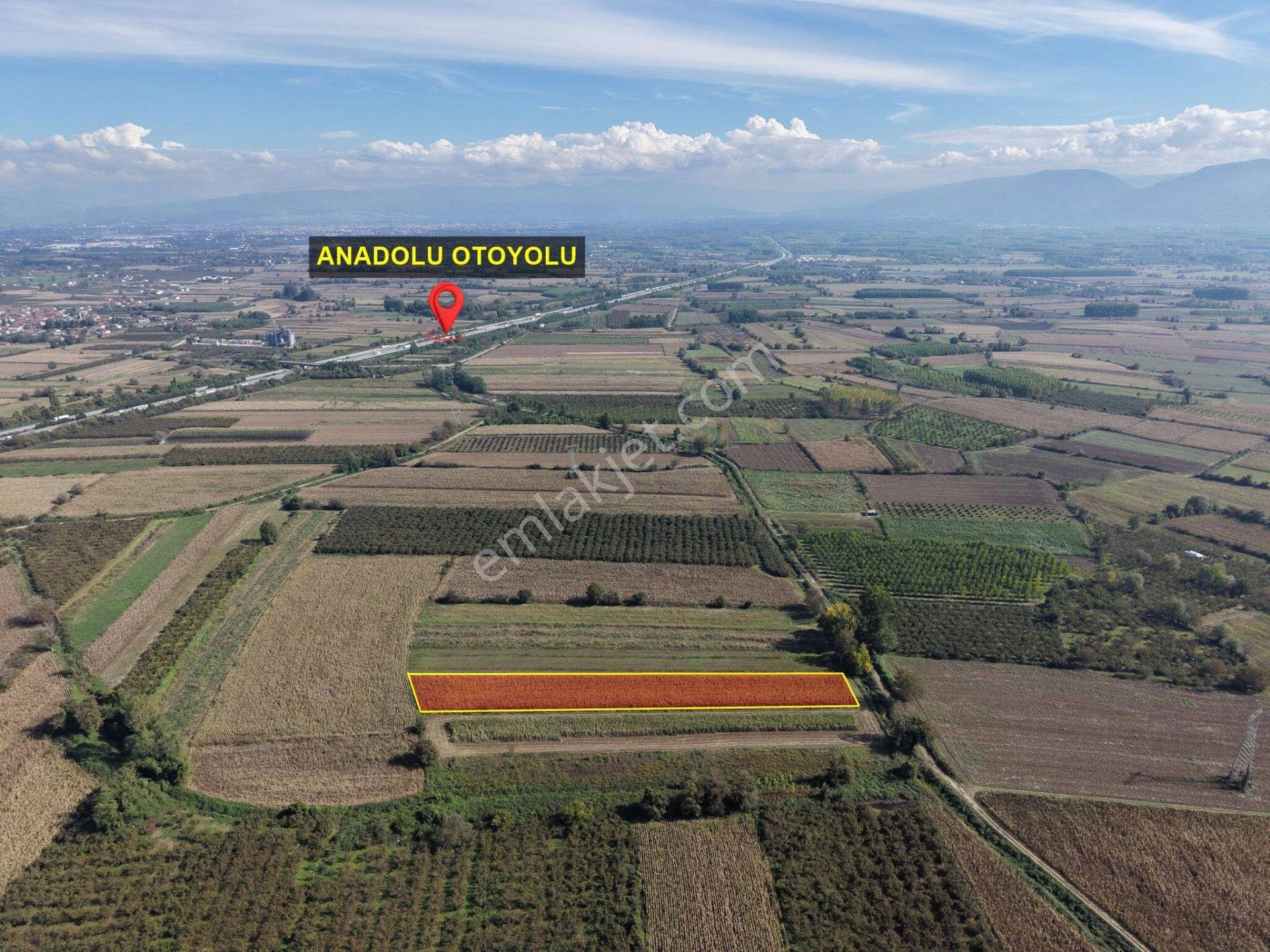 Köprübaşıömerefendi Köyü'nde 4918 M2 Satılık Arazi — fotoğraf 19