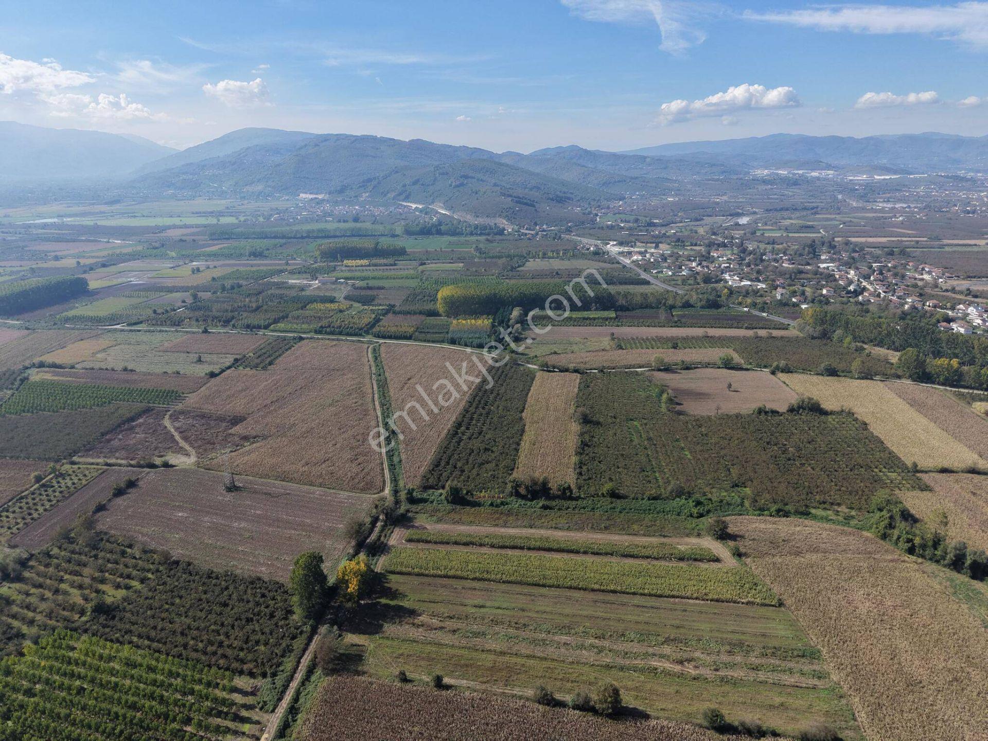Köprübaşıömerefendi Köyü'nde 4918 M2 Satılık Arazi — fotoğraf 21