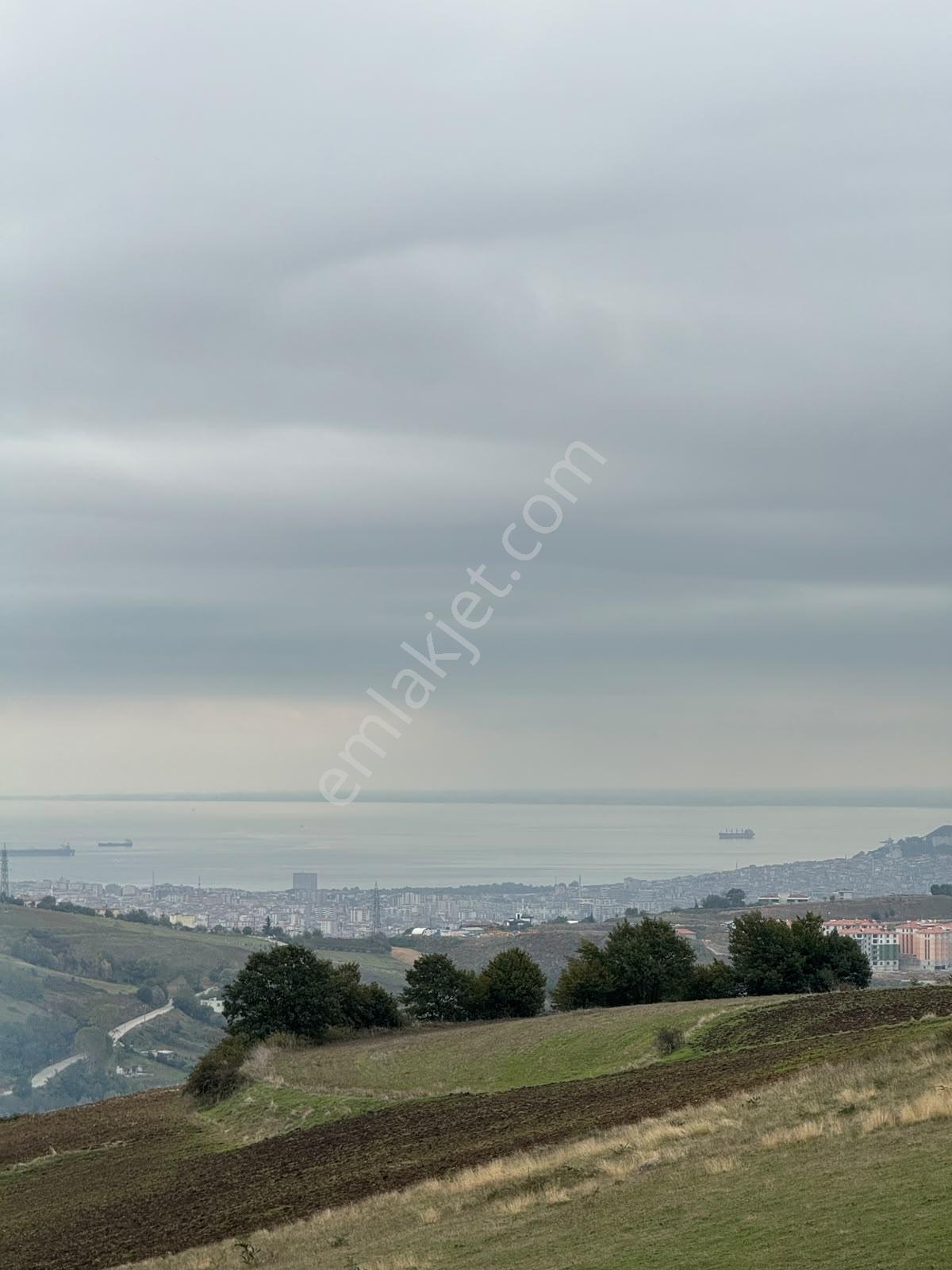 Samsun Çandırda Deniz Manzaralı 1.579,11 M² Satılık Tarla!