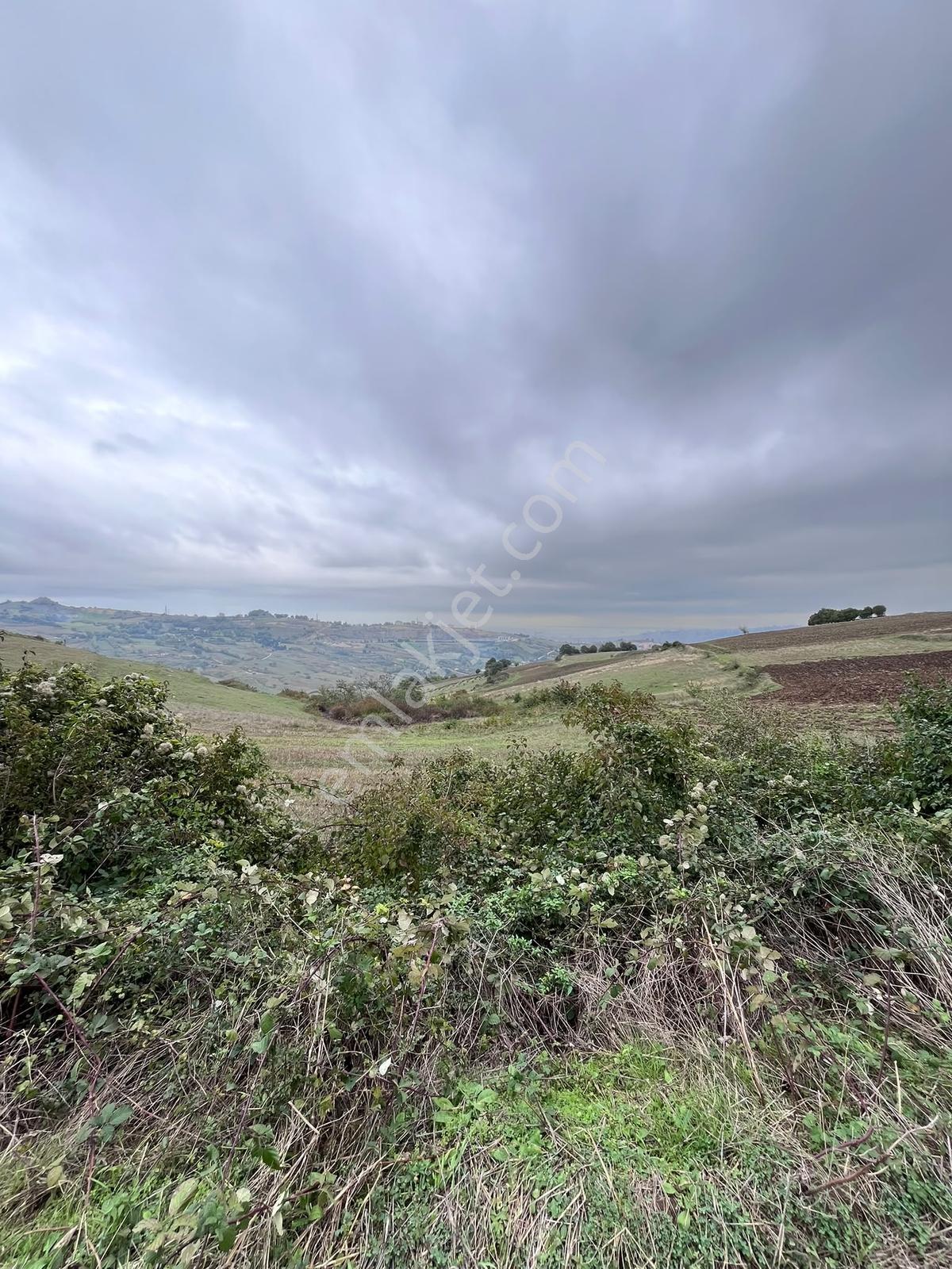 Samsun Çandırda Deniz Manzaralı 1.579,11 M² Satılık Tarla! — fotoğraf 8