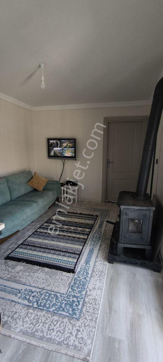 500 M²alan Üzerinde Yaşam Alani — fotoğraf 6