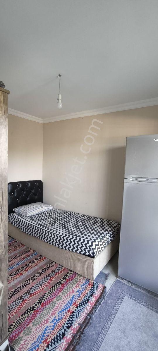 500 M²alan Üzerinde Yaşam Alani — fotoğraf 8