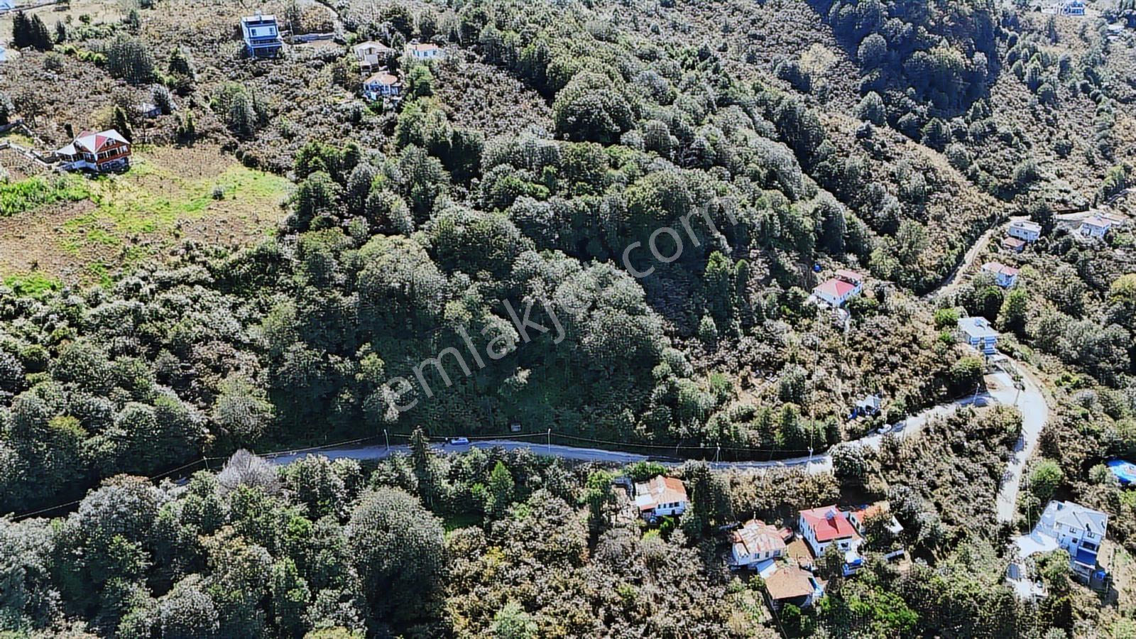 Mabel'den Beşikdüzü Denizli Mah 4.242 M2 Müstakil Arazi — fotoğraf 3