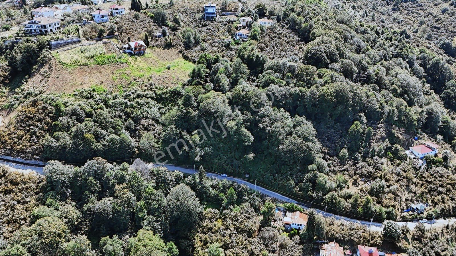 Mabel'den Beşikdüzü Denizli Mah 4.242 M2 Müstakil Arazi — fotoğraf 4
