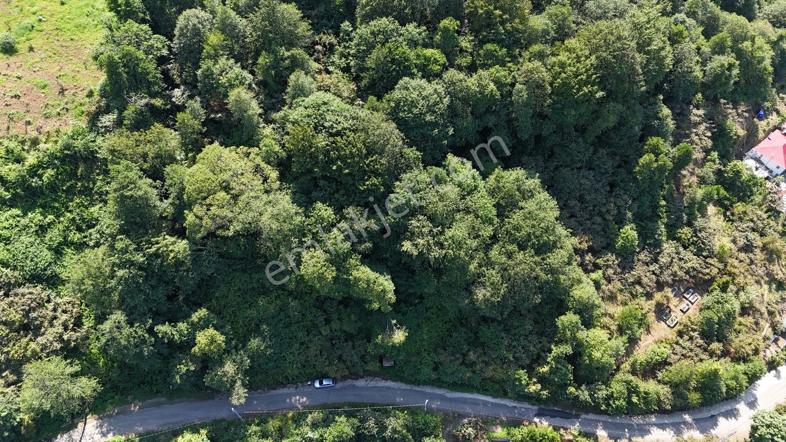 Mabel'den Beşikdüzü Denizli Mah 4.242 M2 Müstakil Arazi — fotoğraf 5