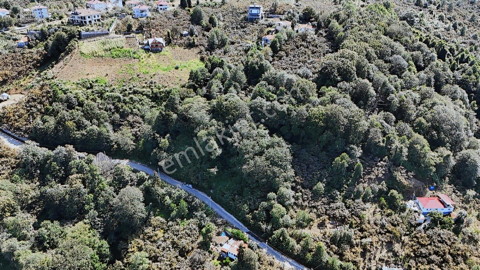 Mabel'den Beşikdüzü Denizli Mah 4.242 M2 Müstakil Arazi — fotoğraf 6