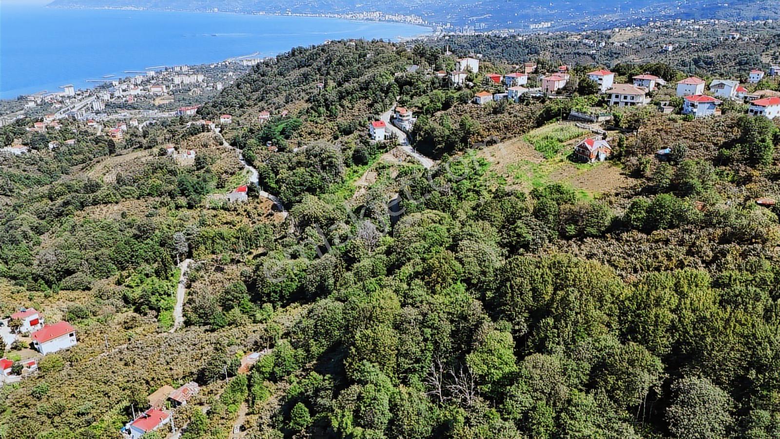 Mabel'den Beşikdüzü Denizli Mah 4.242 M2 Müstakil Arazi — fotoğraf 7