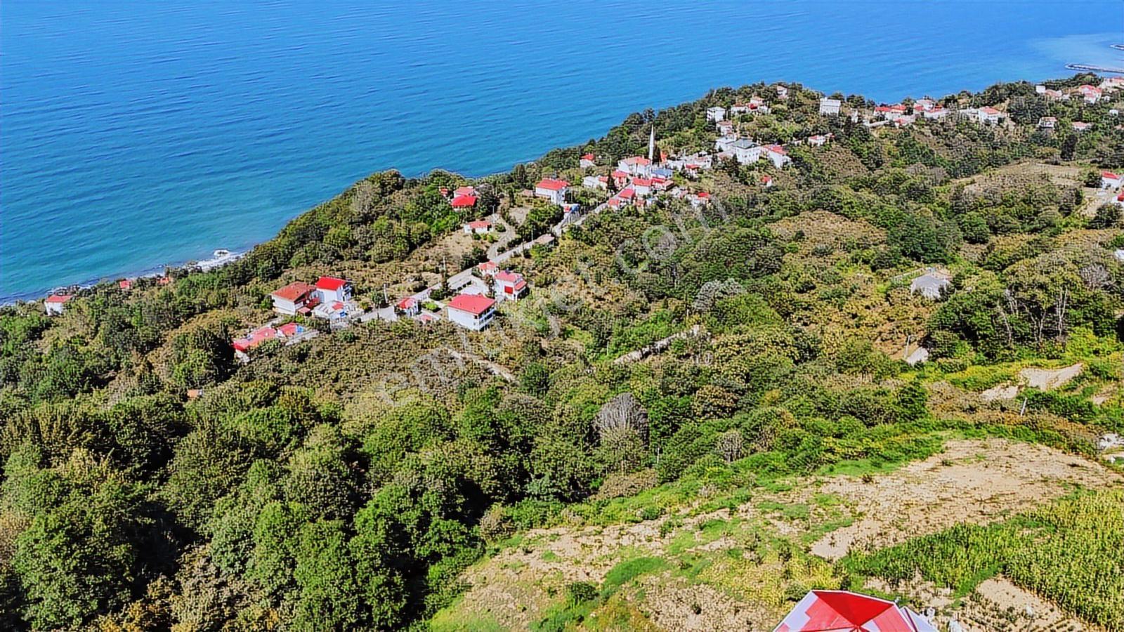 Mabel'den Beşikdüzü Denizli Mah 4.242 M2 Müstakil Arazi — fotoğraf 8
