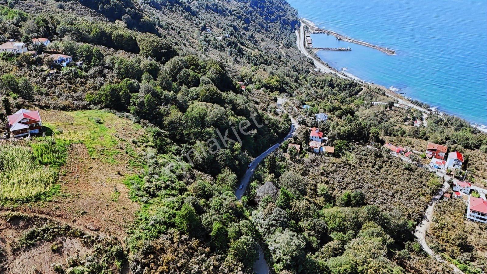 Mabel'den Beşikdüzü Denizli Mah 4.242 M2 Müstakil Arazi — fotoğraf 9