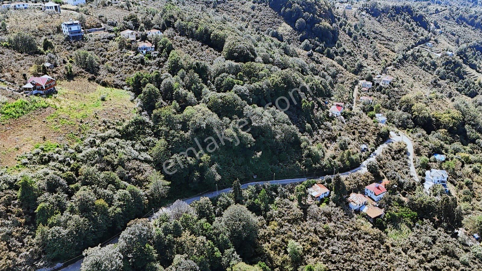 Mabel'den Beşikdüzü Denizli Mah 4.242 M2 Müstakil Arazi — fotoğraf 10