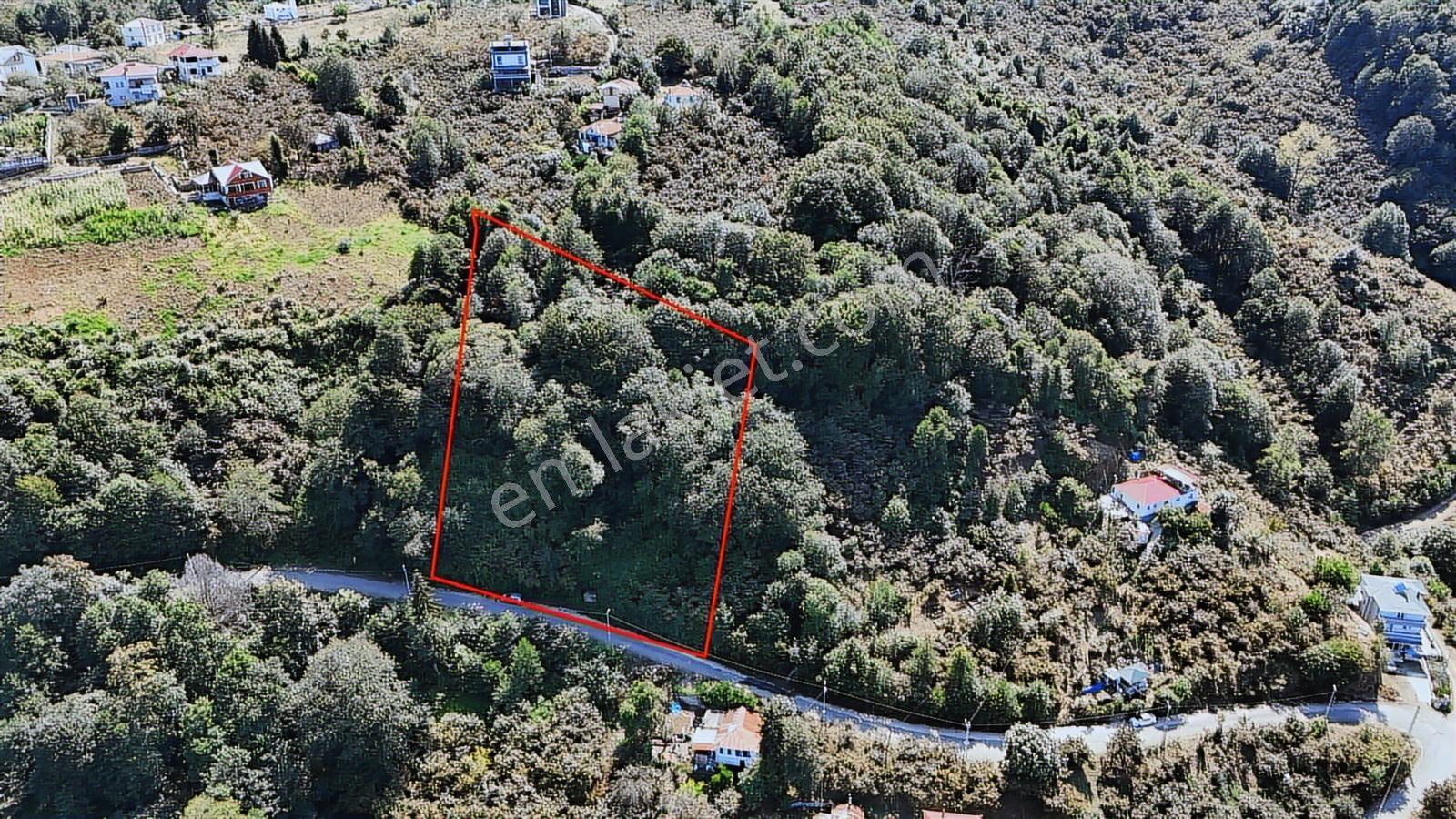 Mabel'den Beşikdüzü Denizli Mah 4.242 M2 Müstakil Arazi — fotoğraf 11