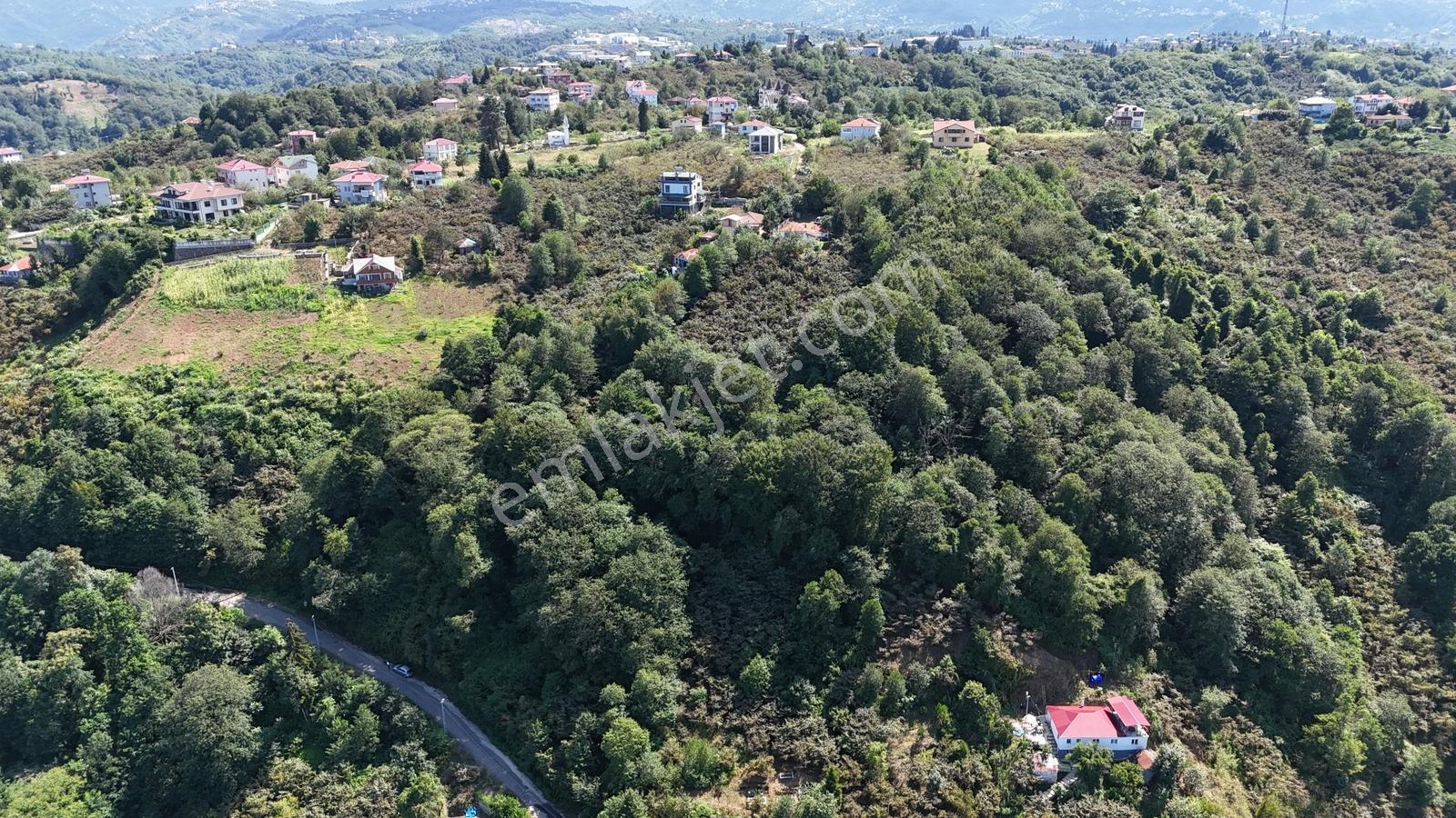 Mabel'den Beşikdüzü Denizli Mah 4.242 M2 Müstakil Arazi — fotoğraf 13