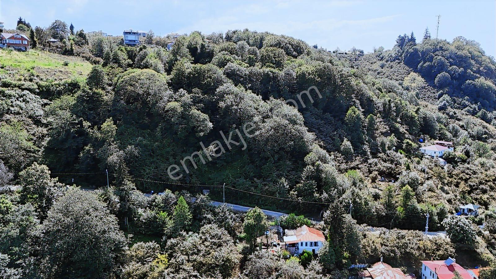 Mabel'den Beşikdüzü Denizli Mah 4.242 M2 Müstakil Arazi — fotoğraf 14