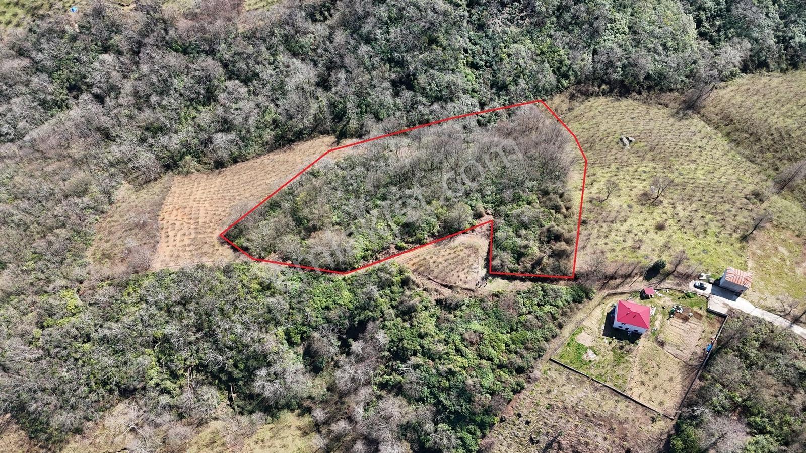 Mabel'den Beşikdüzü Aksaklı'da 10.000 M2 Satılık Arazi — fotoğraf 3
