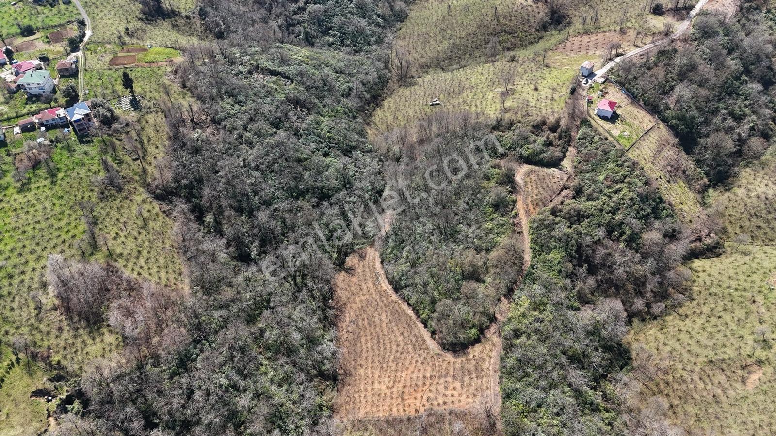 Mabel'den Beşikdüzü Aksaklı'da 10.000 M2 Satılık Arazi — fotoğraf 4