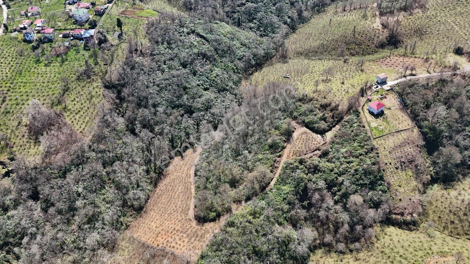 Mabel'den Beşikdüzü Aksaklı'da 10.000 M2 Satılık Arazi — fotoğraf 5