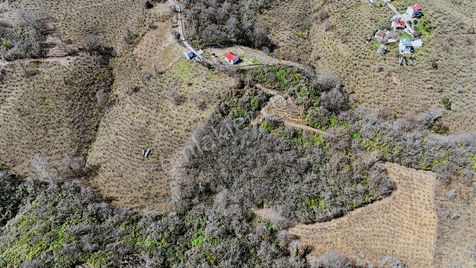 Mabel'den Beşikdüzü Aksaklı'da 10.000 M2 Satılık Arazi — fotoğraf 6