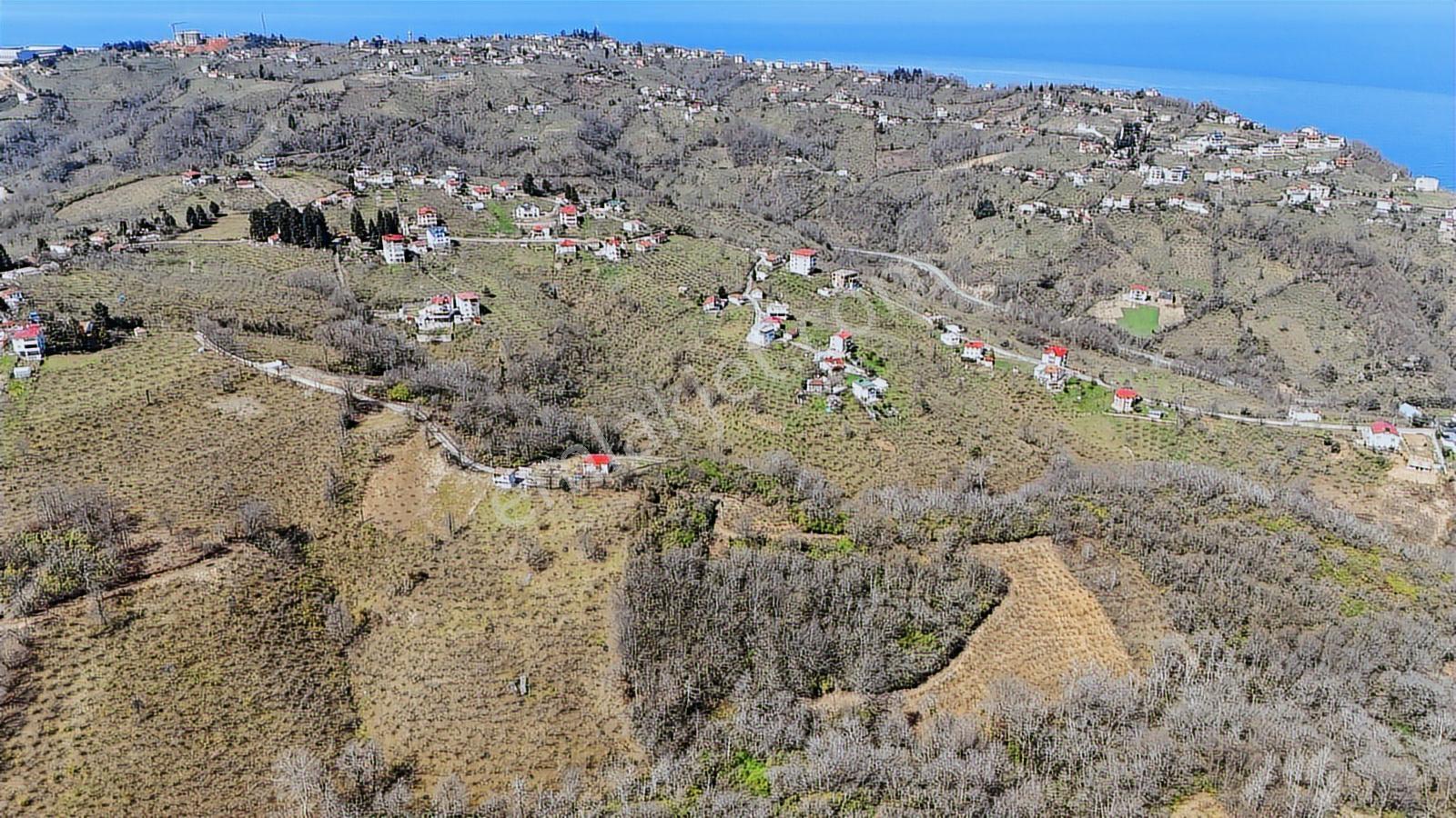 Mabel'den Beşikdüzü Aksaklı'da 10.000 M2 Satılık Arazi — fotoğraf 8