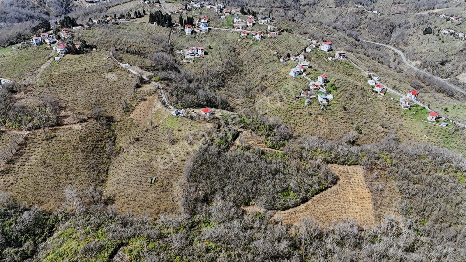 Mabel'den Beşikdüzü Aksaklı'da 10.000 M2 Satılık Arazi — fotoğraf 9