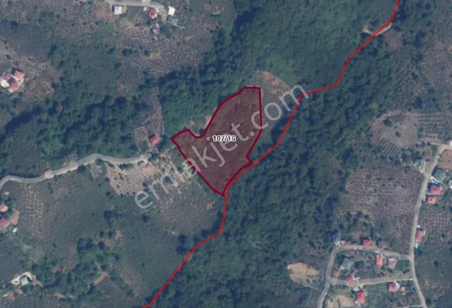 Mabel'den Beşikdüzü Aksaklı'da 10.000 M2 Satılık Arazi — fotoğraf 10