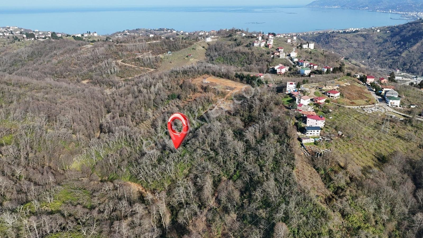 Mabel'den Akkese Mahallesi 4.870 M2 Satılık Yola Sınır Arazi — fotoğraf 2