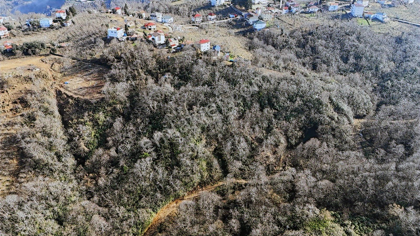 Mabel'den Akkese Mahallesi 4.870 M2 Satılık Yola Sınır Arazi — fotoğraf 3