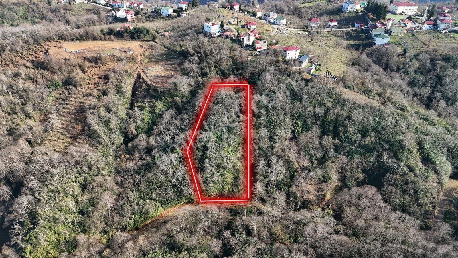 Mabel'den Akkese Mahallesi 4.870 M2 Satılık Yola Sınır Arazi — fotoğraf 4