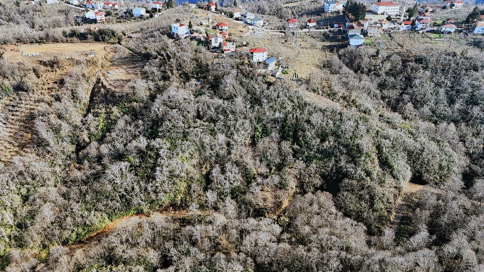 Mabel'den Akkese Mahallesi 4.870 M2 Satılık Yola Sınır Arazi — fotoğraf 6