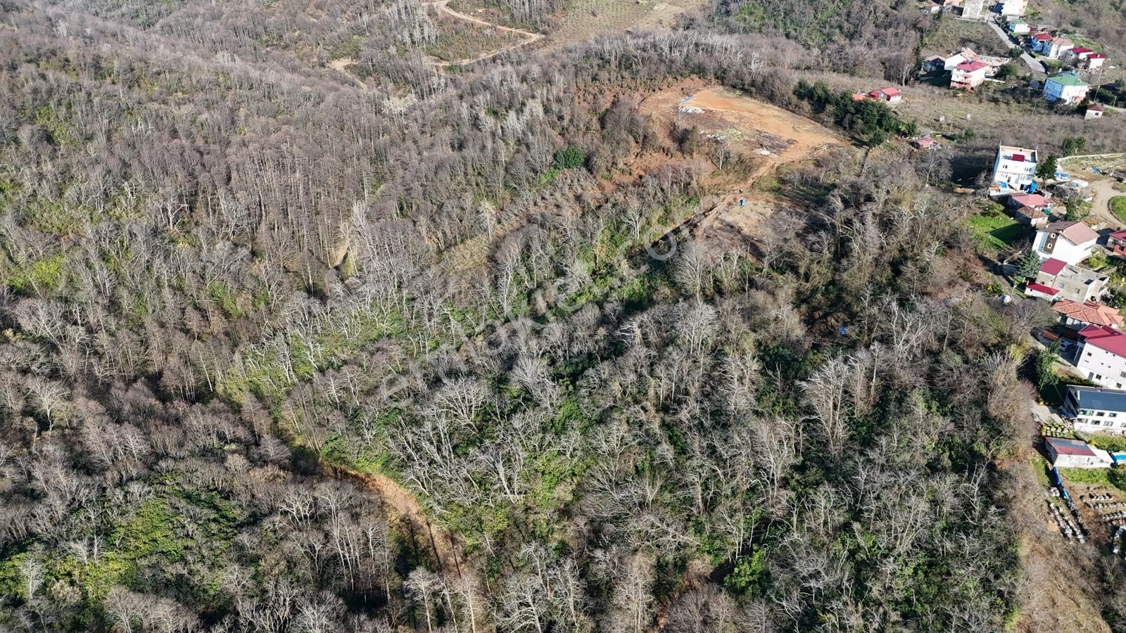 Mabel'den Akkese Mahallesi 4.870 M2 Satılık Yola Sınır Arazi — fotoğraf 7