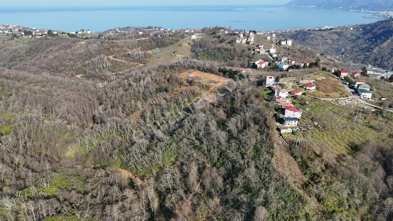 Mabel'den Akkese Mahallesi 4.870 M2 Satılık Yola Sınır Arazi — fotoğraf 8