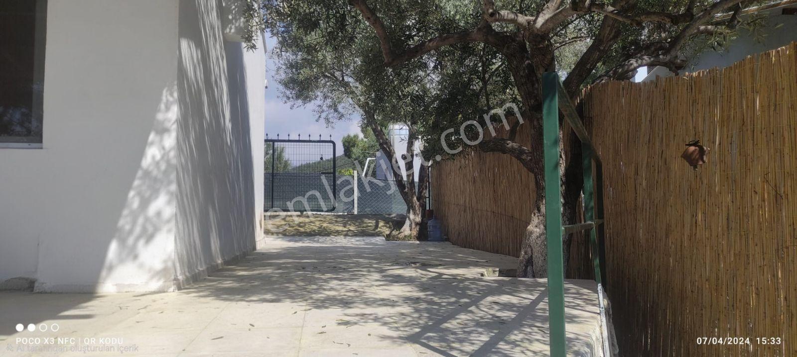 Kemalpaşa Damlacık'ta Yapı Kullanımlı 1+1 Ev 500 M2 Hisseli — fotoğraf 5