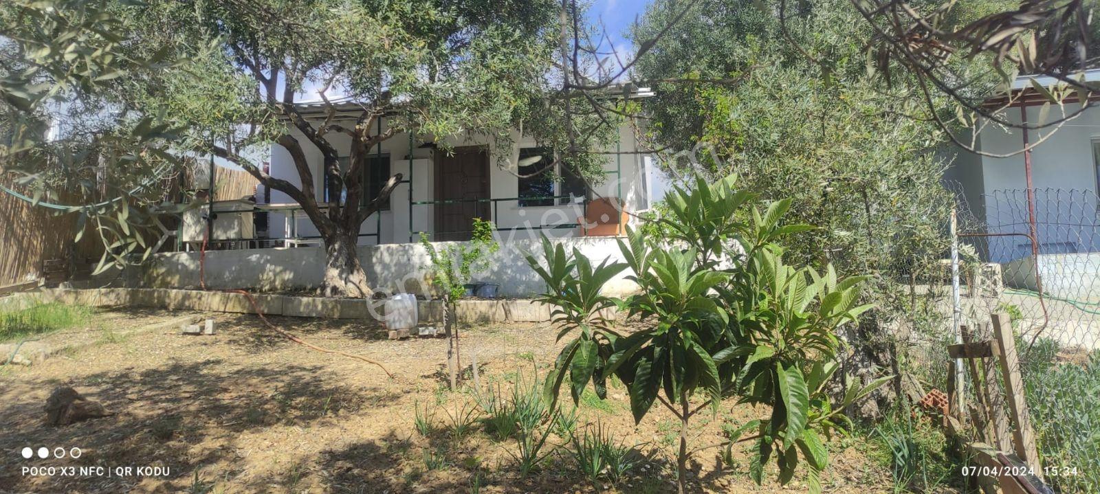 Kemalpaşa Damlacık'ta Yapı Kullanımlı 1+1 Ev 500 M2 Hisseli — fotoğraf 6