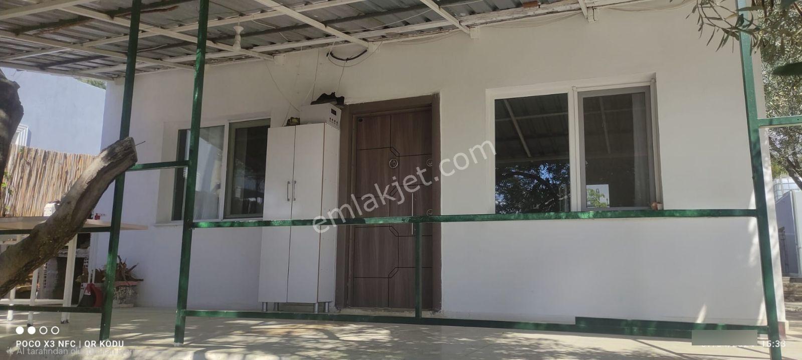 Kemalpaşa Damlacık'ta Yapı Kullanımlı 1+1 Ev 500 M2 Hisseli — fotoğraf 7