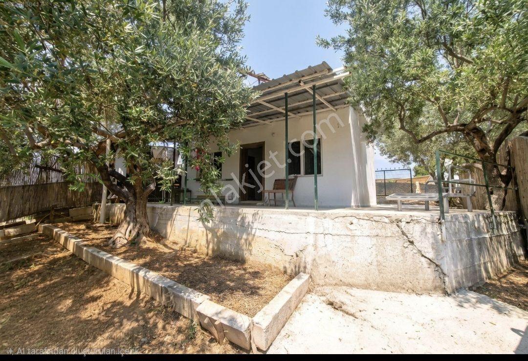 Kemalpaşa Damlacık'ta Yapı Kullanımlı 1+1 Ev 500 M2 Hisseli — fotoğraf 13