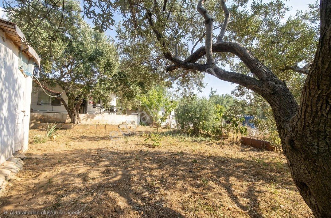 Kemalpaşa Damlacık'ta Yapı Kullanımlı 1+1 Ev 500 M2 Hisseli — fotoğraf 22
