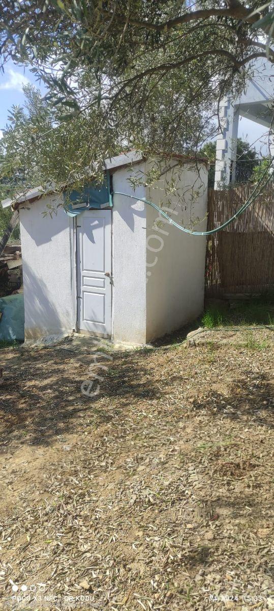 Kemalpaşa Damlacık'ta Yapı Kullanımlı 1+1 Ev 500 M2 Hisseli — fotoğraf 23