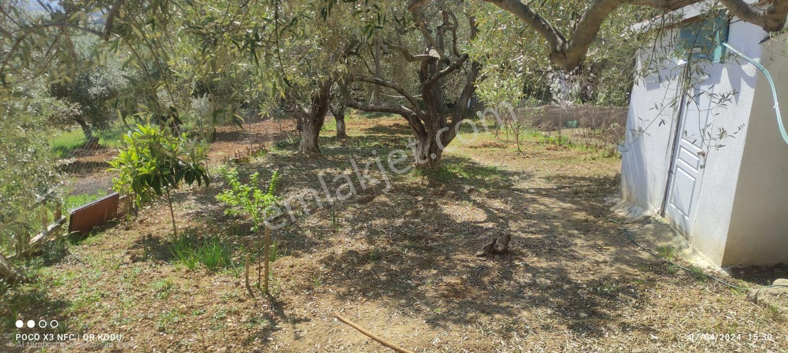 Kemalpaşa Damlacık'ta Yapı Kullanımlı 1+1 Ev 500 M2 Hisseli — fotoğraf 24