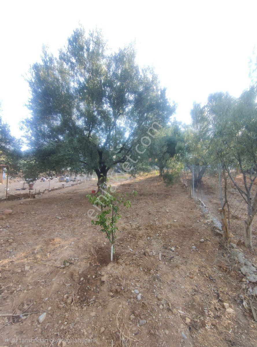 Kemalpaşa Damlacık'ta Yapı Kullanımlı 1+1 Ev 500 M2 Hisseli — fotoğraf 25