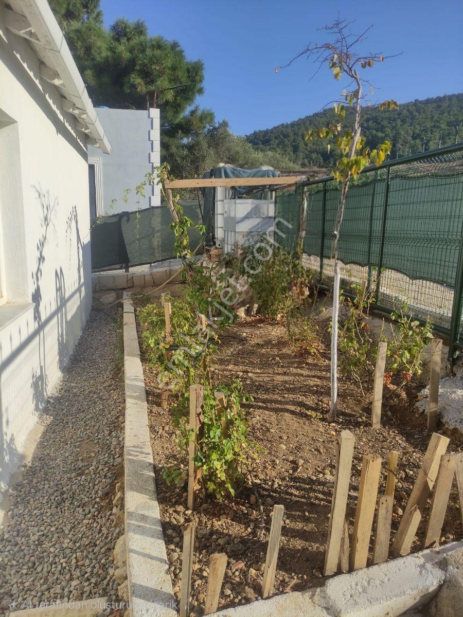 Kemalpaşa Damlacık'ta Yapı Kullanımlı 1+1 Ev 500 M2 Hisseli — fotoğraf 26