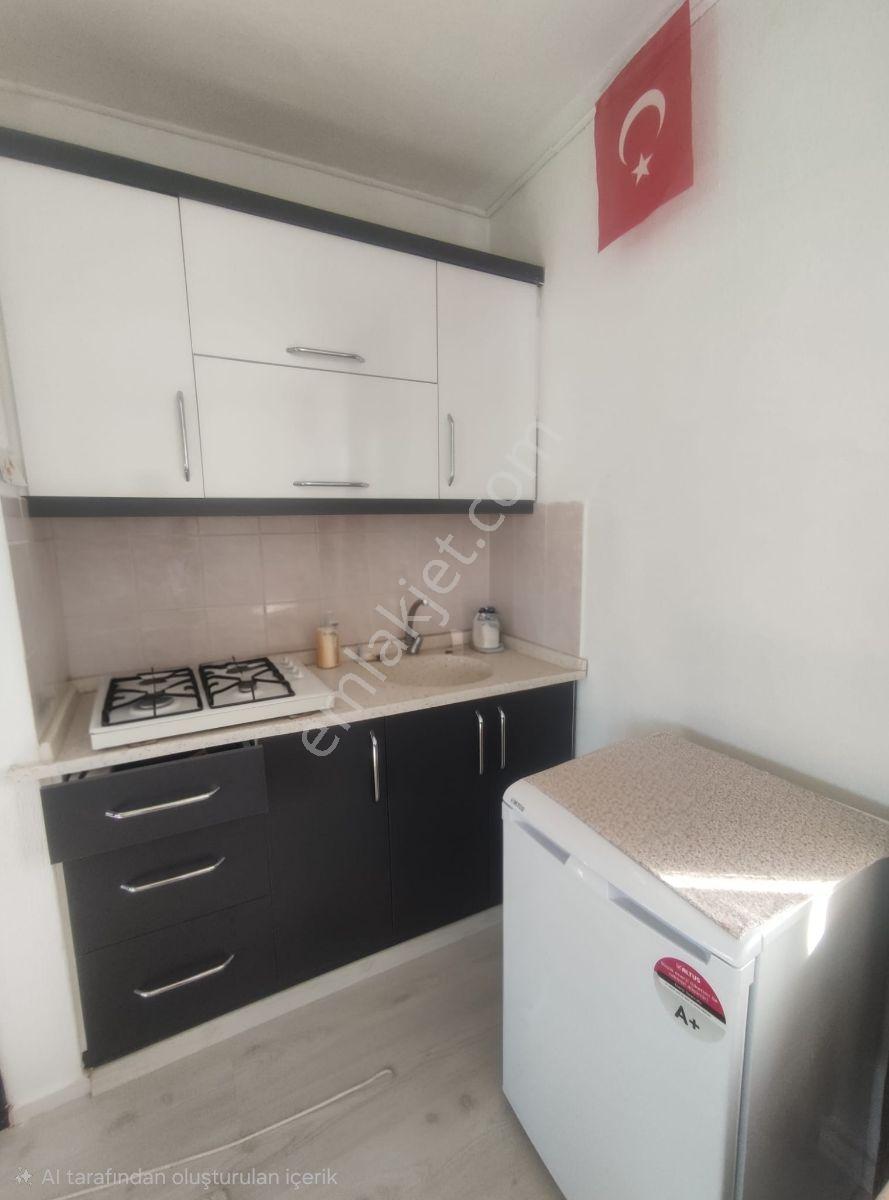 Kemalpaşa Damlacık'ta Yapı Kullanımlı 1+1 Ev 500 M2 Hisseli — fotoğraf 31