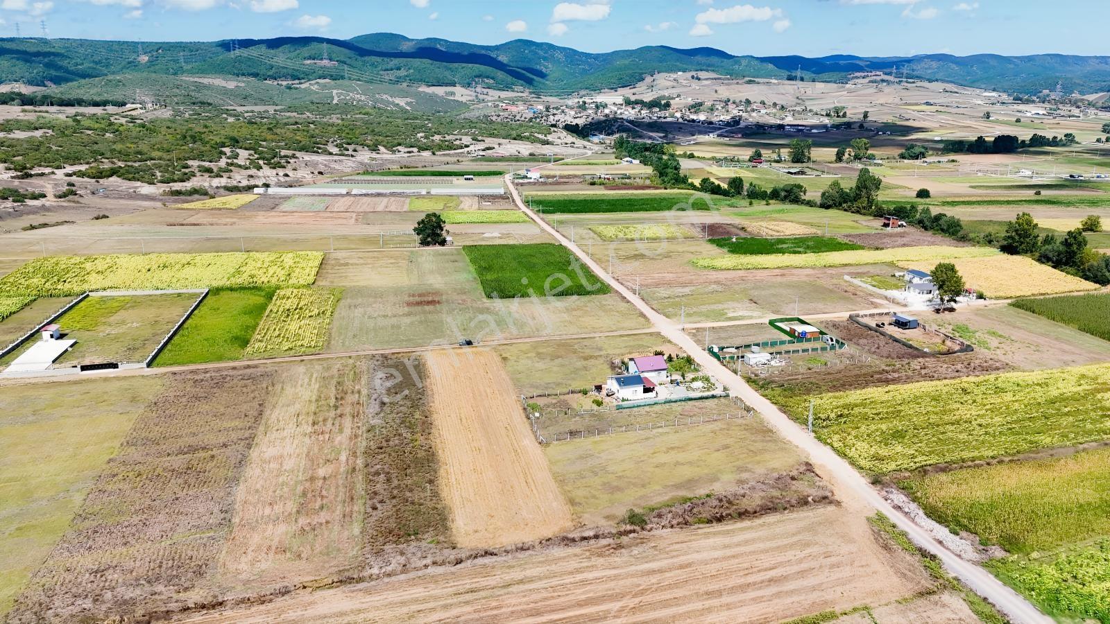 Körfez Cumaköyde 2.294 M² 21 Metre Yola Cepheli Satılık Tarla