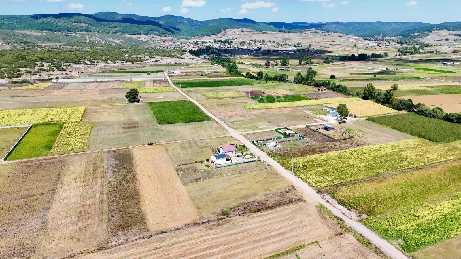 Körfez Cumaköyde 2.294 M² 21 Metre Yola Cepheli Satılık Tarla — fotoğraf 2