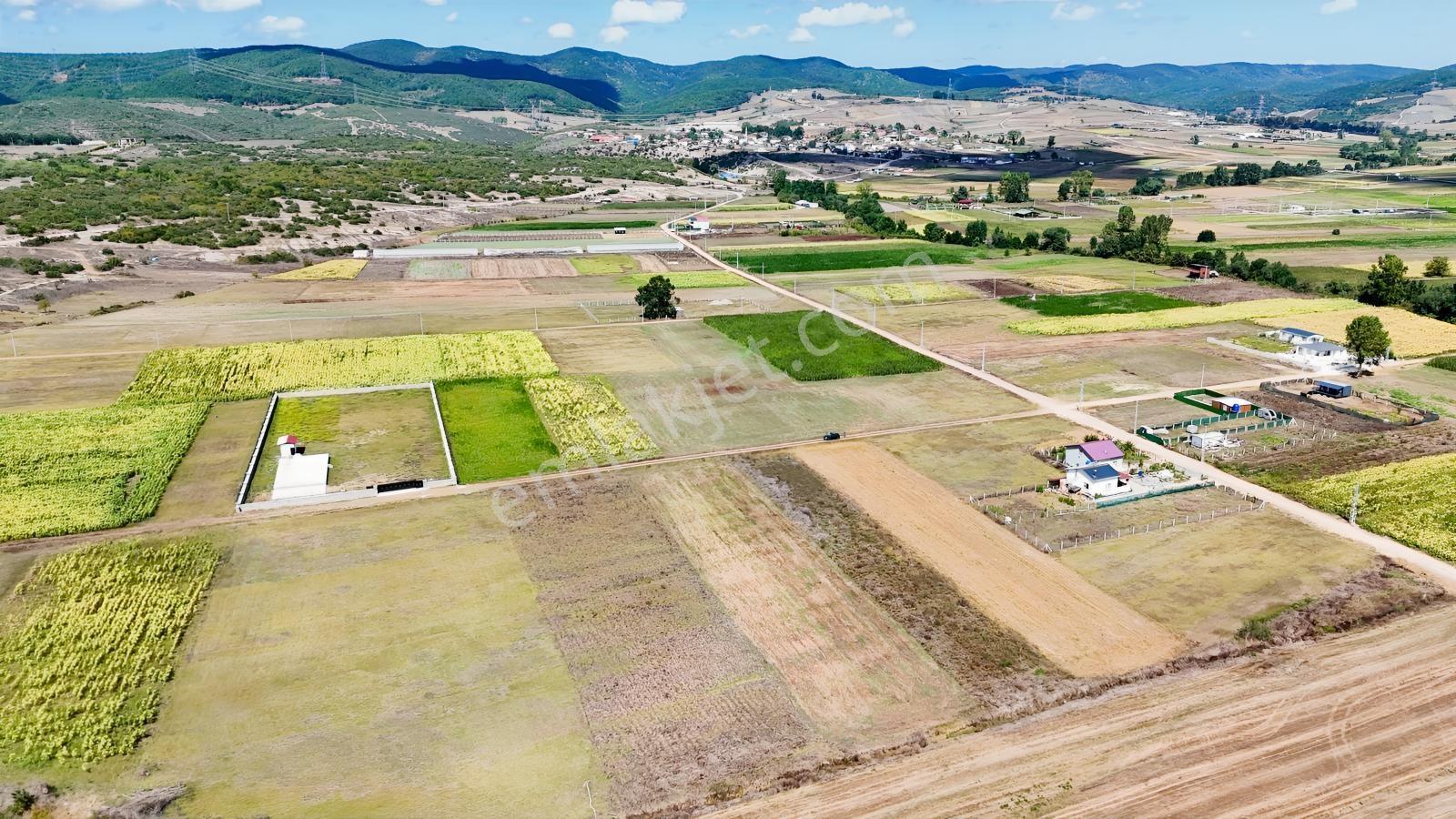 Körfez Cumaköyde 2.294 M² 21 Metre Yola Cepheli Satılık Tarla — fotoğraf 4