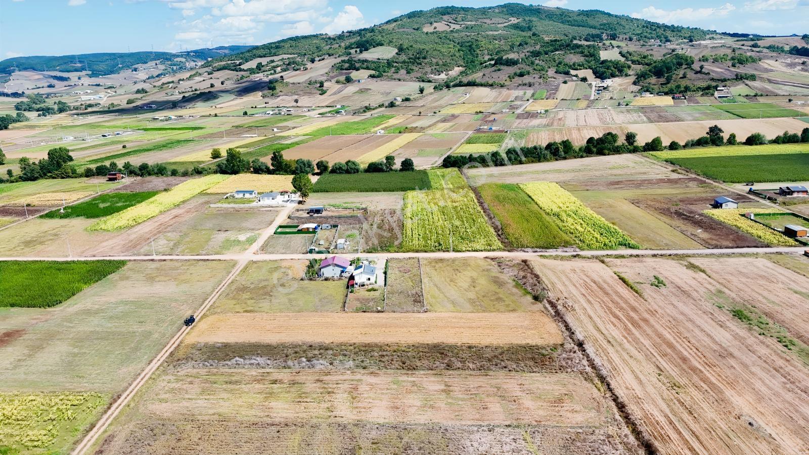 Körfez Cumaköyde 2.294 M² 21 Metre Yola Cepheli Satılık Tarla — fotoğraf 9