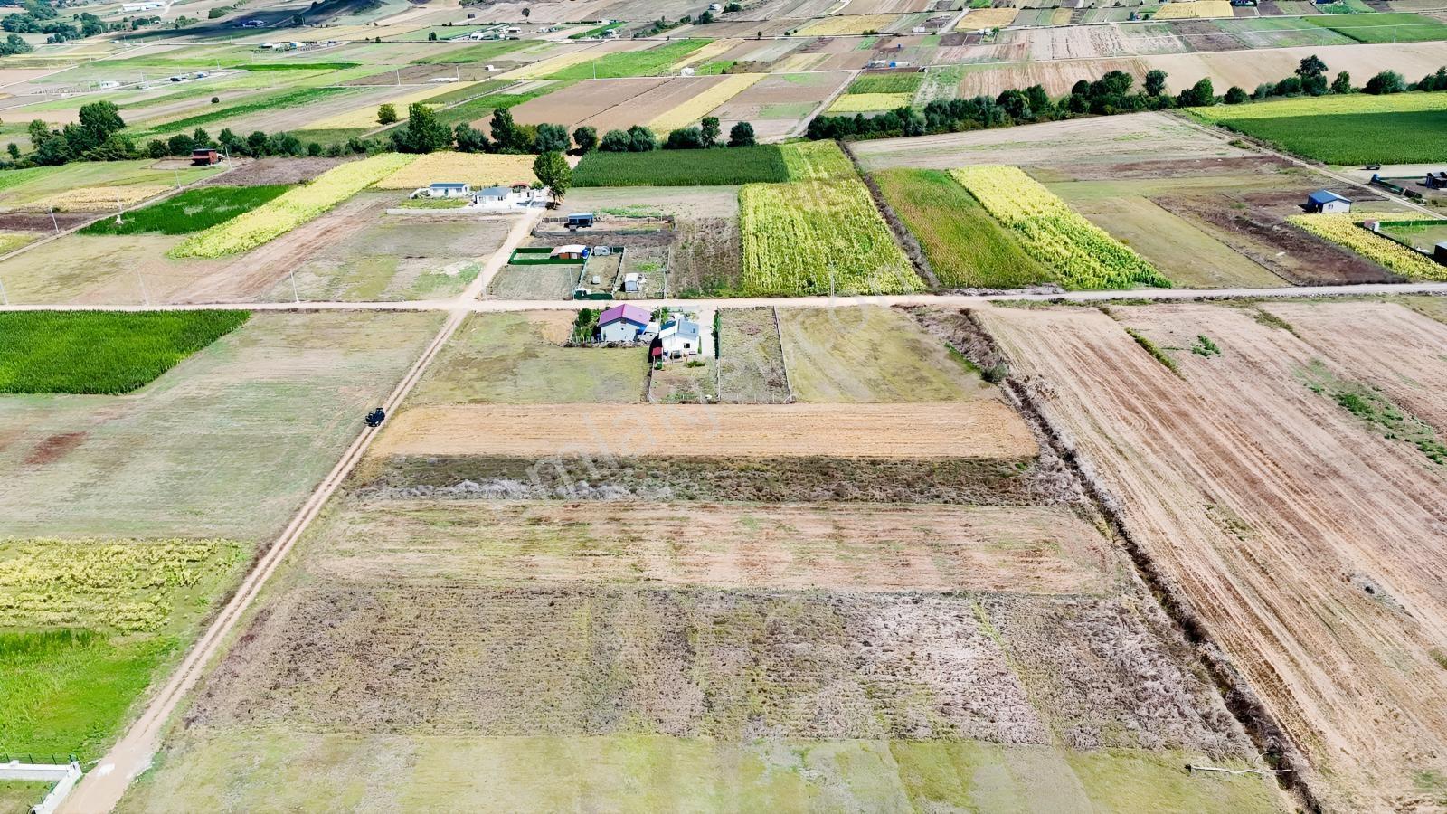 Körfez Cumaköyde 2.294 M² 21 Metre Yola Cepheli Satılık Tarla — fotoğraf 10