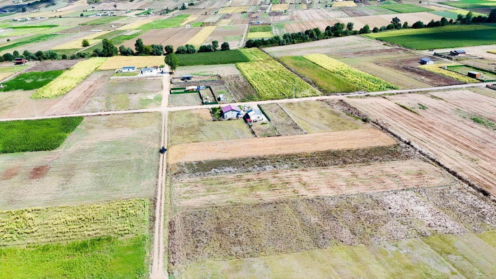 Körfez Cumaköyde 2.294 M² 21 Metre Yola Cepheli Satılık Tarla — fotoğraf 11